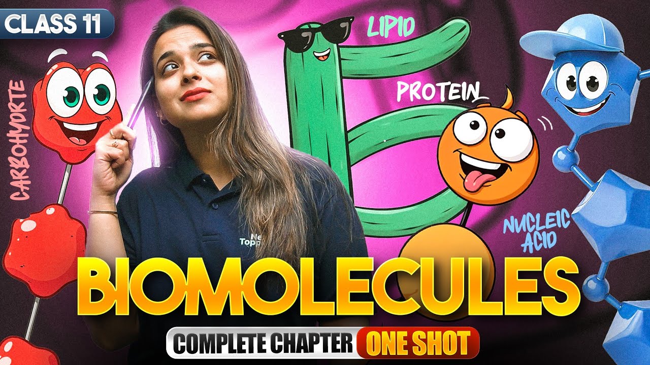 Biomolecules Class 11 One Shot | Class 11 Biology Complete Chapter Revision | CBSE 2025-26 Exam