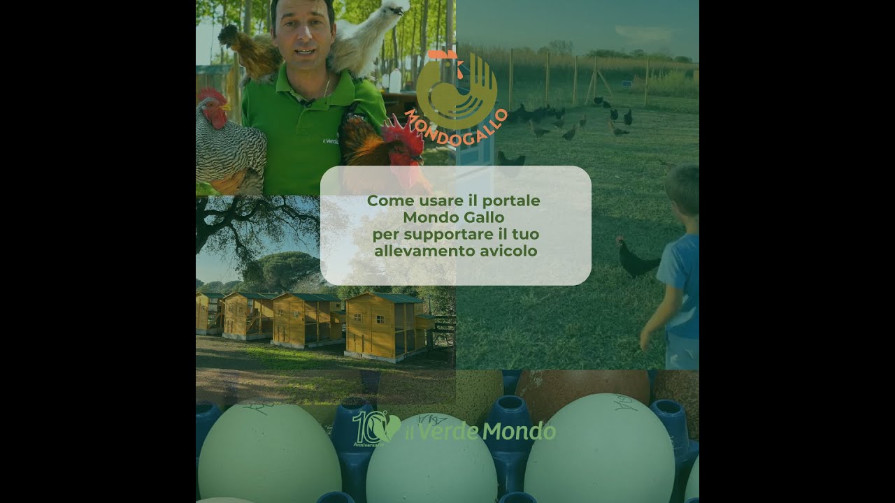 Come Usare il Portale Mondo Gallo per Supportare il Tuo Allevamento Avicolo