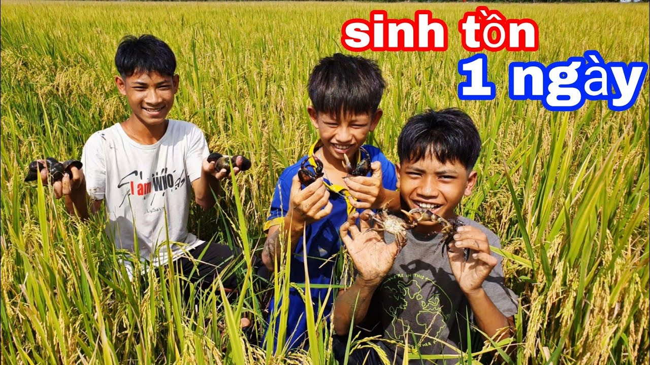TEAM SANG VLOG SINH TỒN 1 Ng&agrave;y Tr&ecirc;n Ruộng M&ugrave;a L&Uacute;A Ch&iacute;n