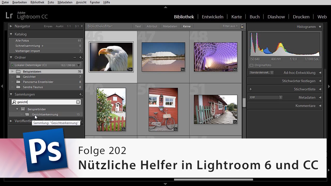 Nützliche Helfer in Lightroom 6 und CC – Die Photoshop-Profis – Folge 202