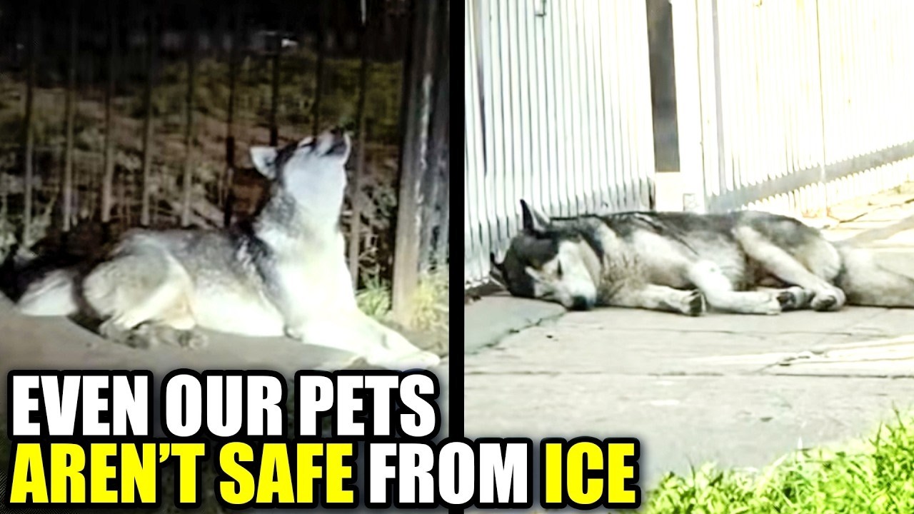ICE's Cruelty Goes SO MUCH Deeper Than You May Think