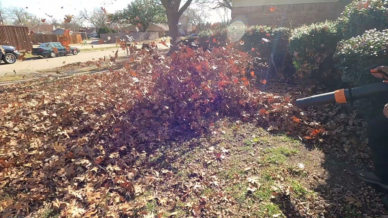 MAJOR CLEAN LEAF CLEAN UP | NO CHARGE | START to FINISH