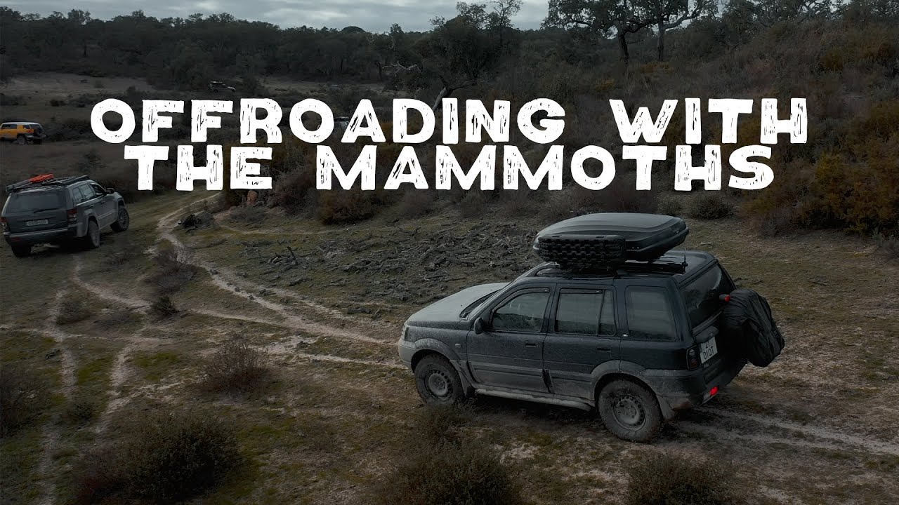 The Hippo & The Mammoths