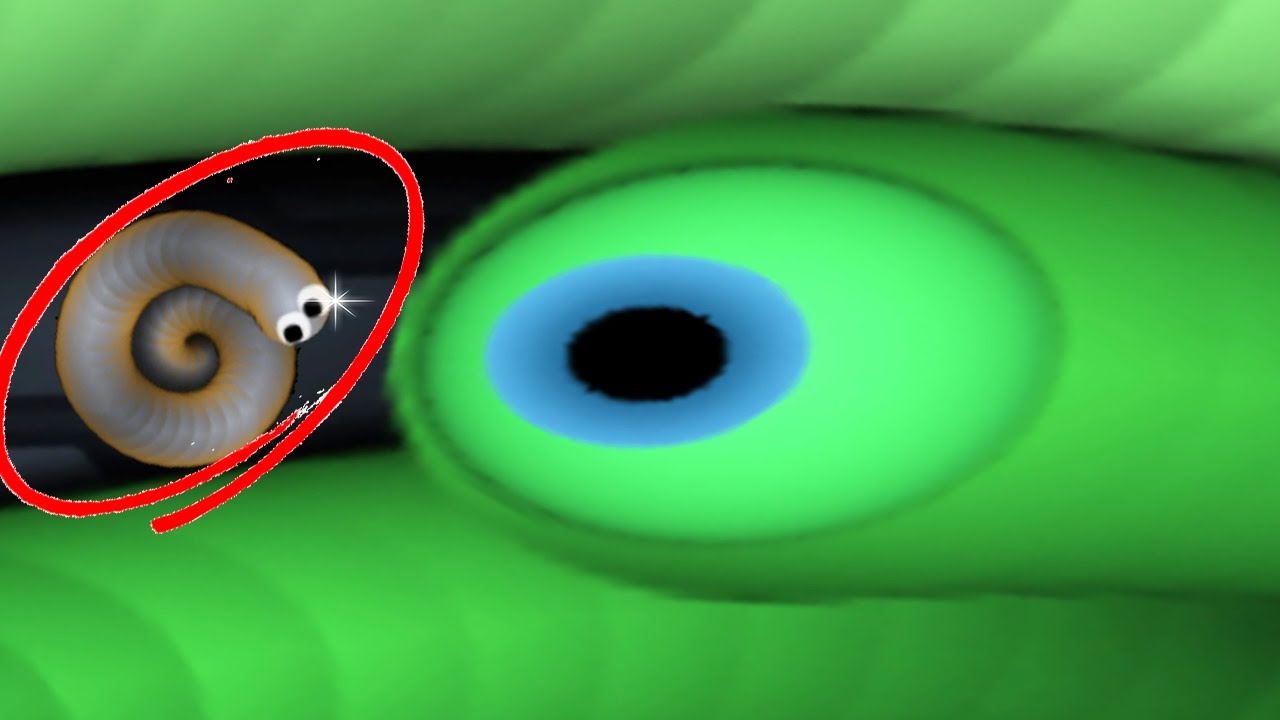 Slither.io - The Biggest Snakes Hunter