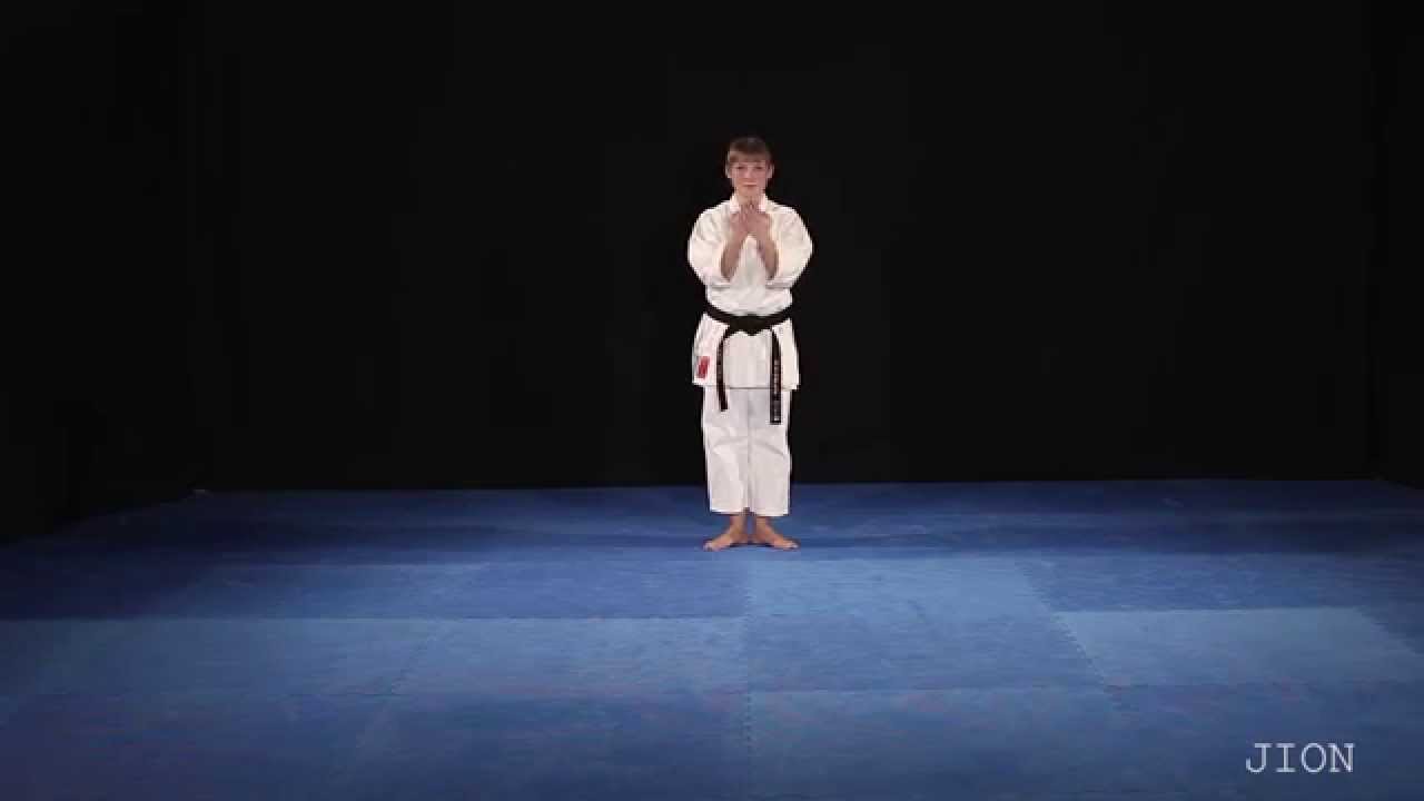 Shito Ryu Shukokai Jion Front View