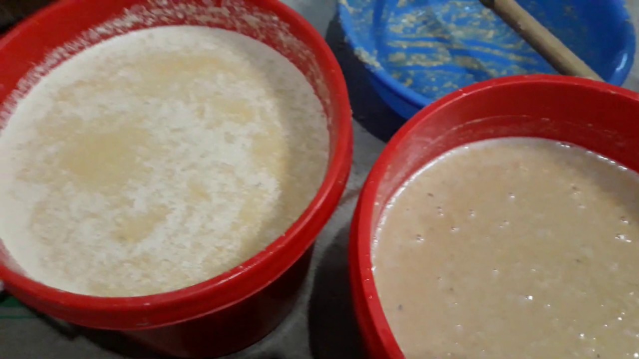 Hướng Dẫn ủ Phân Đậu Tương Siêu Phân Bón Giúp Các Loại Cây Kháng Bệnh Tươi Tốt Sai Hoa Nhiều Qủa