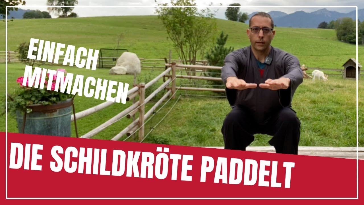 Die heilige Schildkröte paddelt   Qi Gong Übungen für Anfänger