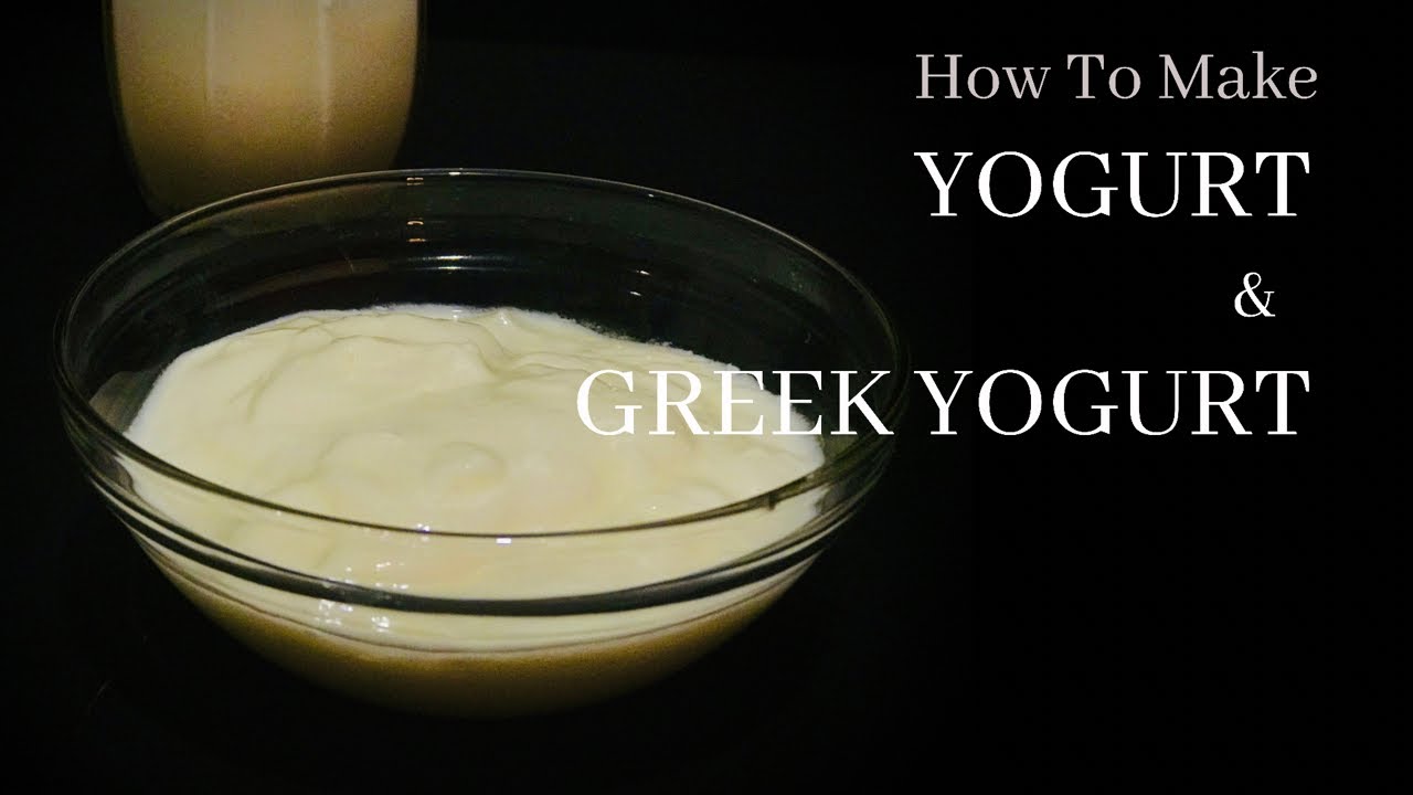 How To Make Yogurt And Greek Yogurt