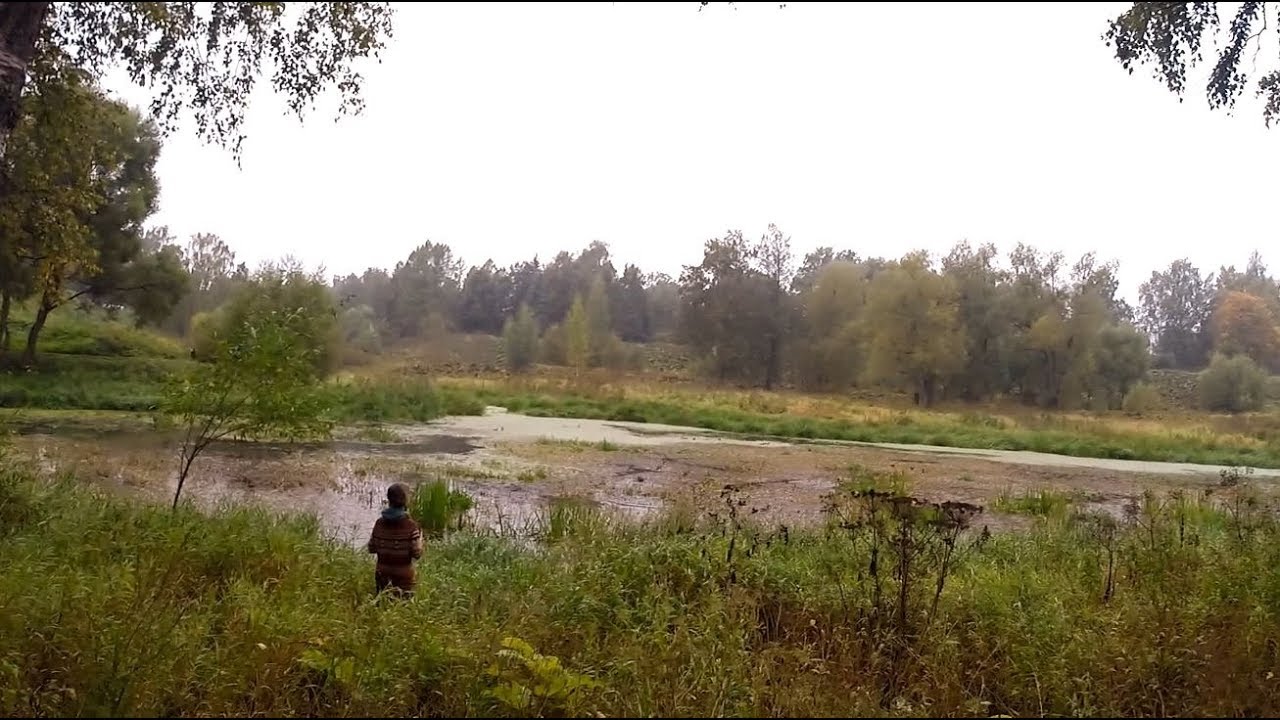 105 Новгород, Питер, Мурманск. Novgorod, Saint Petersburg, Murmansk. Серия 105. 