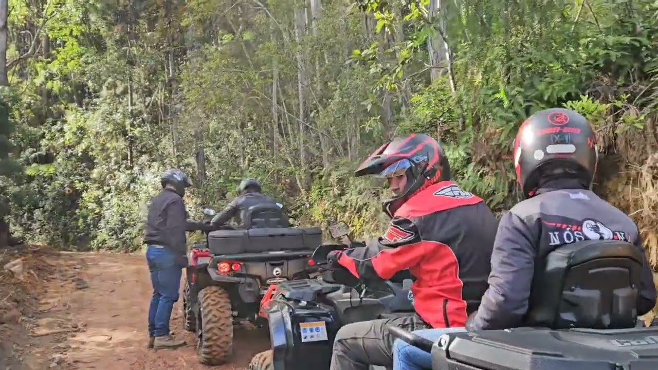 TRILHA ANIMAL NO MUNICÍPIO DE ANITÁPOLIS/SC. QUADRI QUASE SUBIU NA ÁRVORE.  EM 06.04.2025.