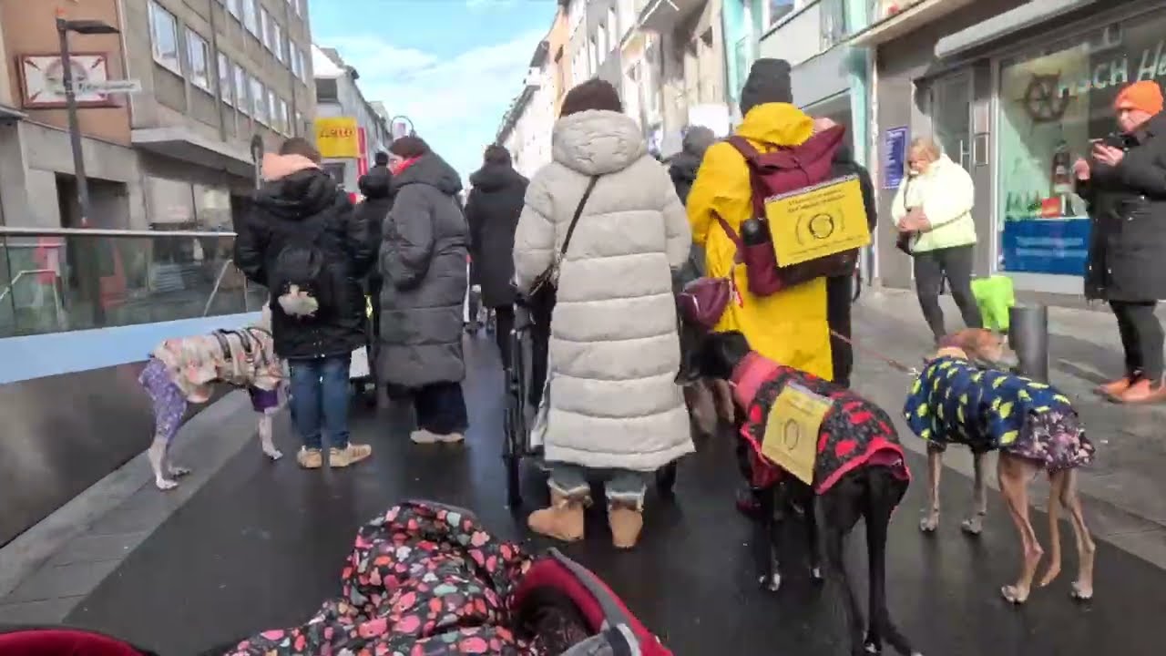 Kölner Galgo-Marsch 2026 - Zeitraffer