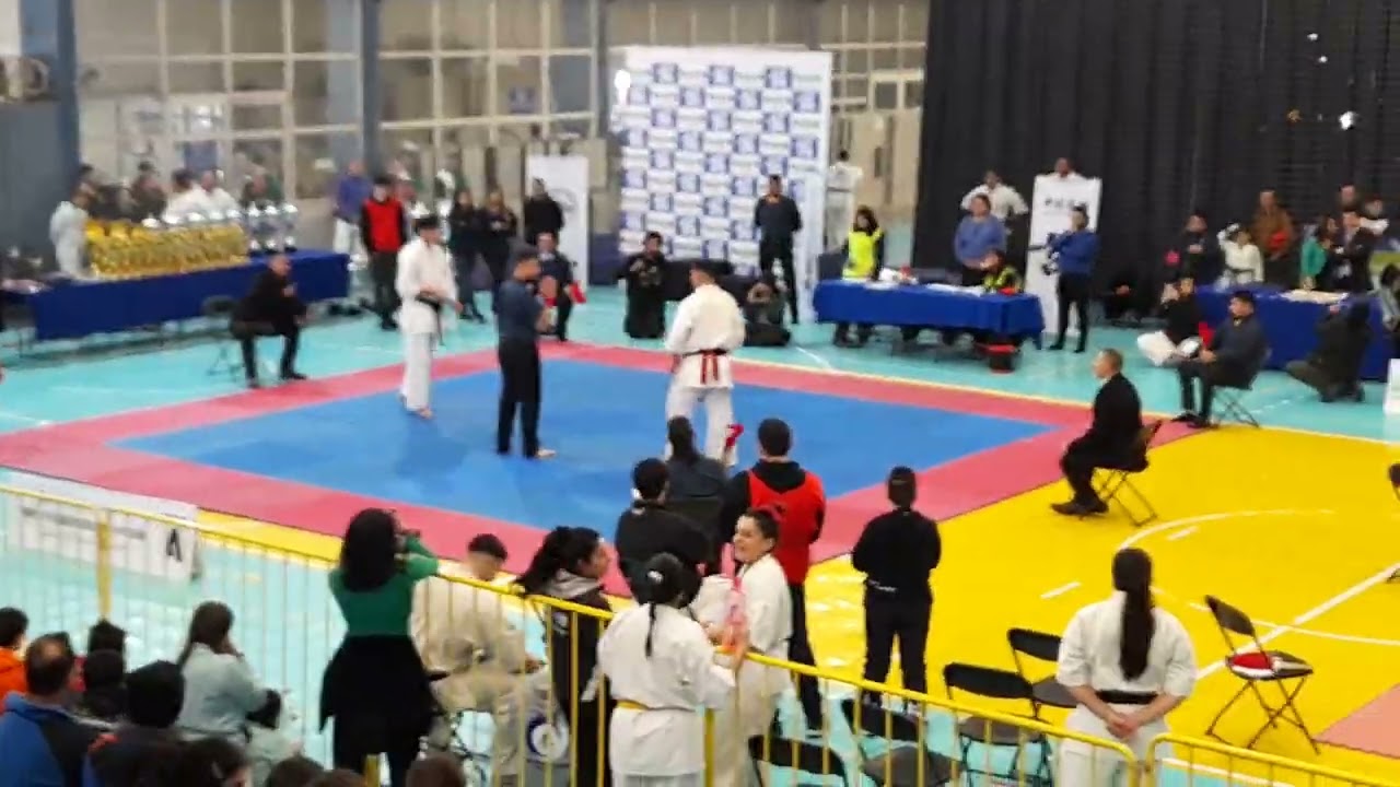 H&eacute;ctor Mu&ntilde;oz vs Guillermo Pizarro - 3ra ronda 1&deg; Torneo Internacional Open Weight IKO Nakamura, 2024