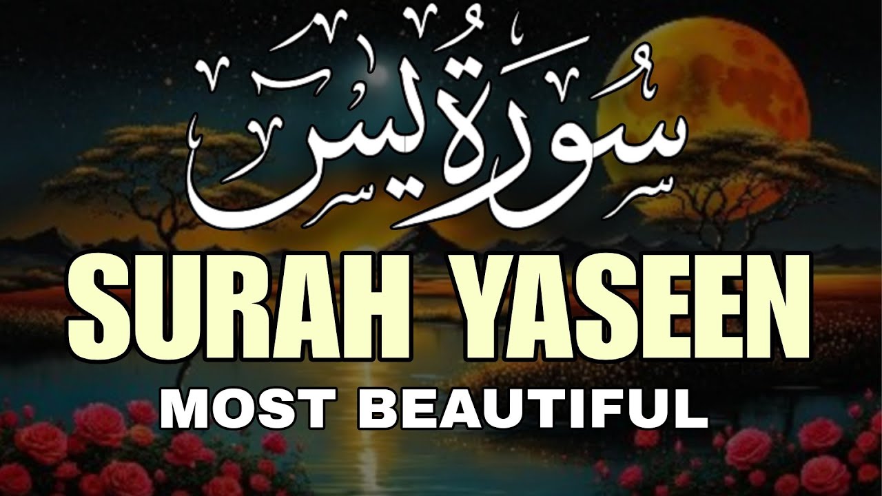 Surah Yaseen سورة يس with Arabic Text | Peaceful Quran Recitation for Sleep & Healing by Alaa Aqel