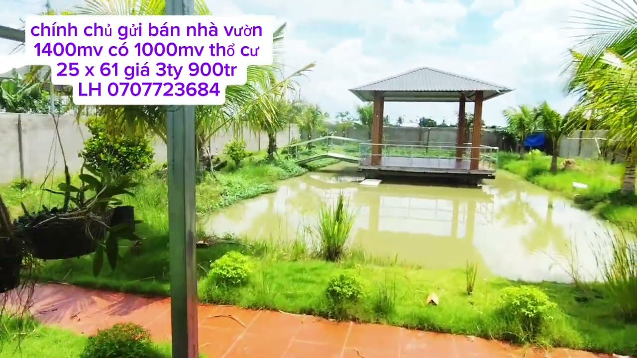 Tập (60) Chủ gửi bán nhà vườn 1400mv có 1000mv thổ cư 25 x 61 giá 3ty 900tr