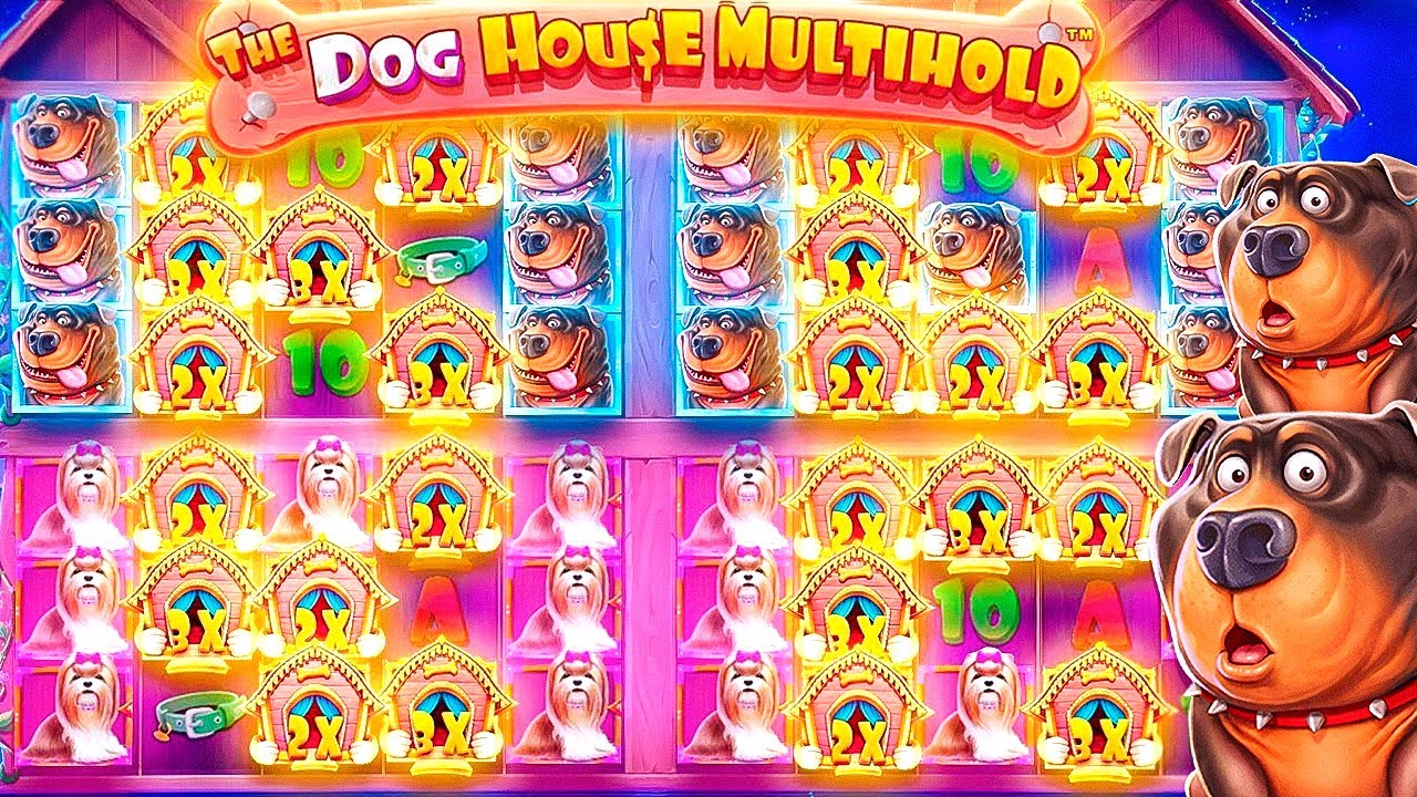 САМАЯ ЭМОЦИОНАЛЬНАЯ СЕССИЯ в THE DOG HOUSE MULTIHOLD!!! ТАКИХ ЗАНОСОВ ДАВНО НЕ БЫЛО...