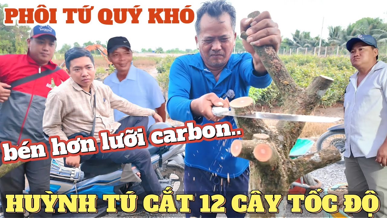 AE Bình Lợi lặng nhìn lưỡi cưa Huỳnh Tú cắt ngọt 12 cây phôi tứ quý thế khó cưa carbon ARS chịu thua