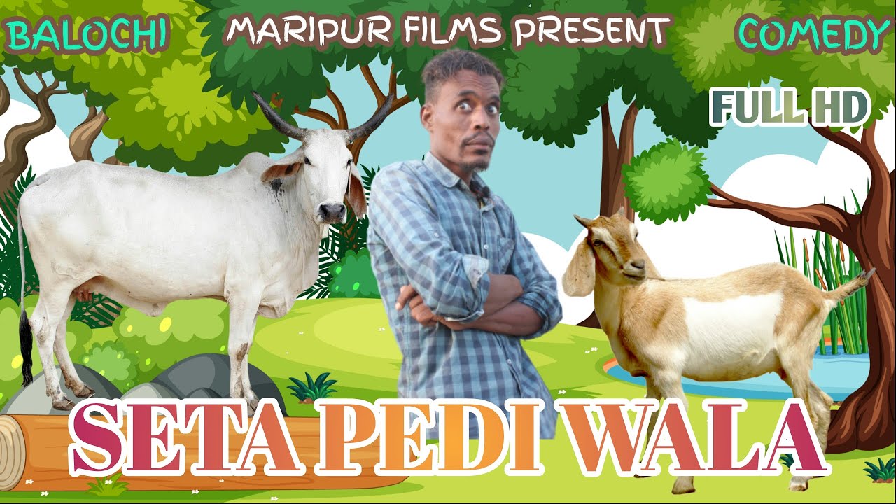 Seta Pedi Wala I Balochi Comedy Video I Episode #128 2021 I Maripur Films #HunainRH
