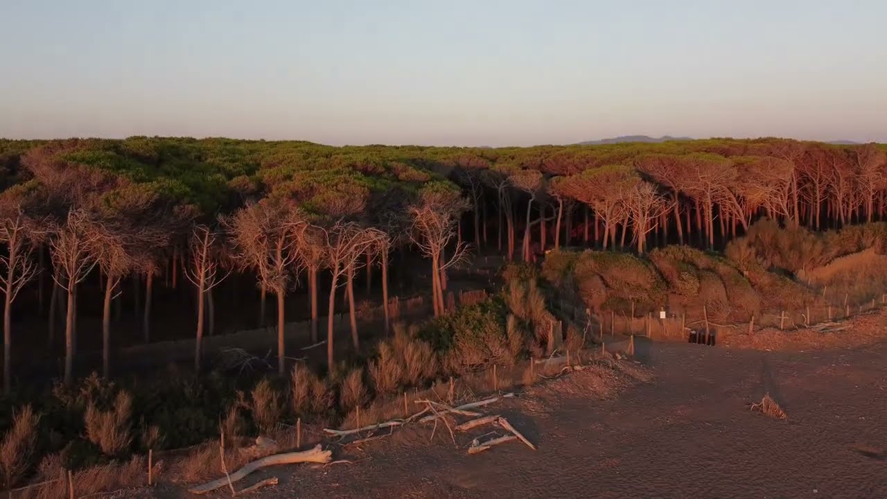 Marina di Cecina - DJI Mini 2 Cinematic Video 2.7K