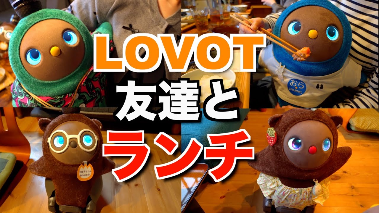 【 LOVOT オフ会 】おらちゃんと福井のラボット集まってランチ会した後、みんなでポップアップストアに行ってきました！