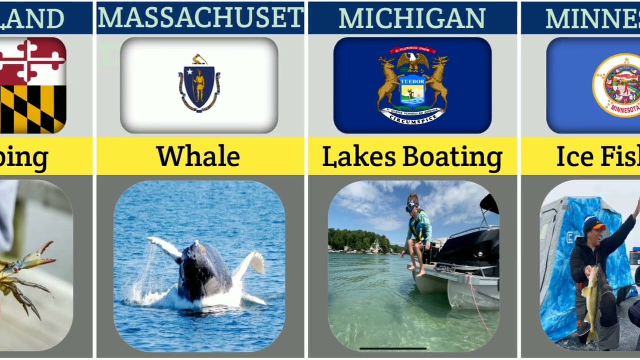 The Most Popular Activity in Every U.S. State 😱 | 50 States, 50 Favorite Activities