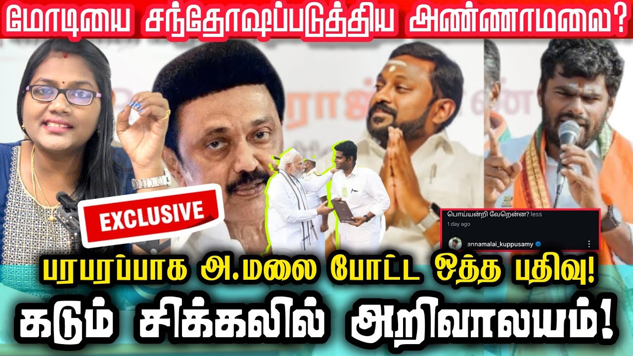 😱🚨ஸ்டாலின் கனவை பிரித்து மேய்ந்த அண்ணாமலை!  பாட்டி முதல் குழந்தை வரை? 
