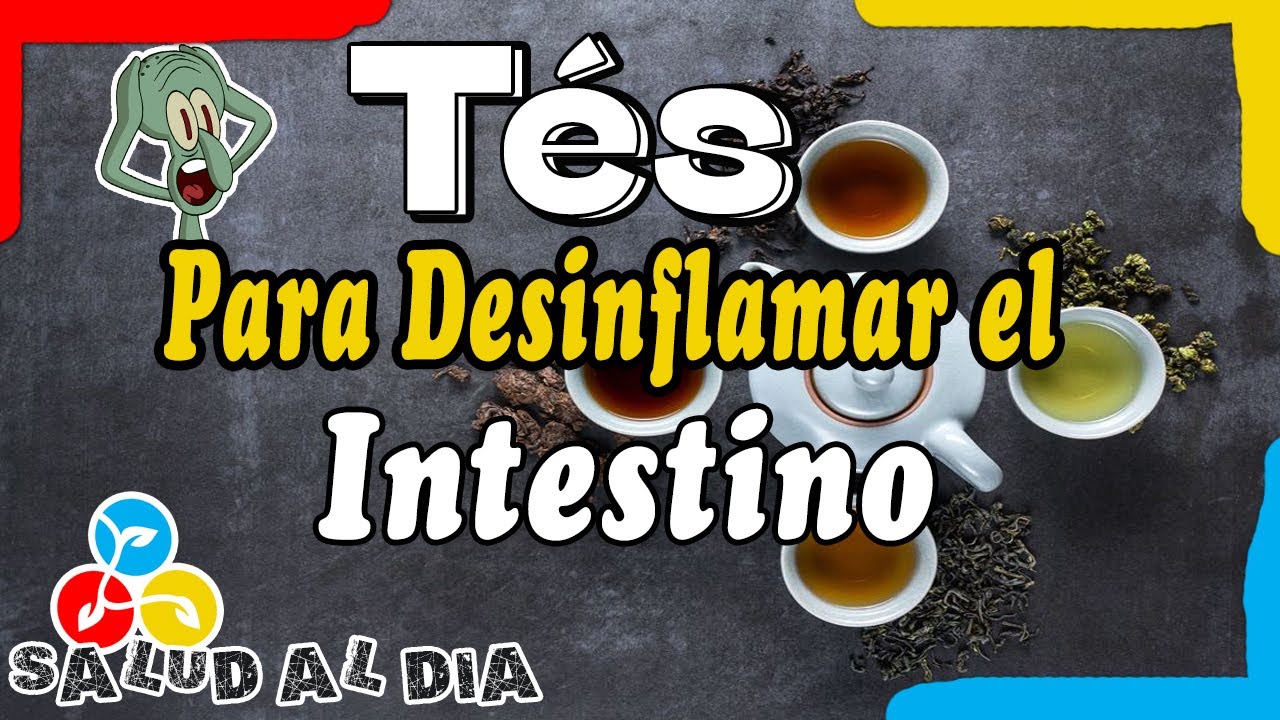 Los mejores T&eacute;s para desinflamar el **INTESTINO**