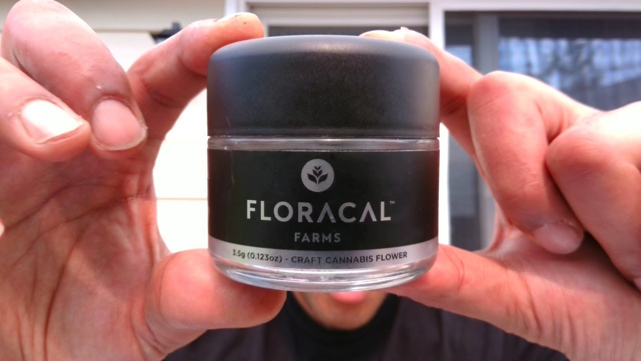 Strain Review: KUSH MINTS By FLORACAL FARMS (ILLINOIS)