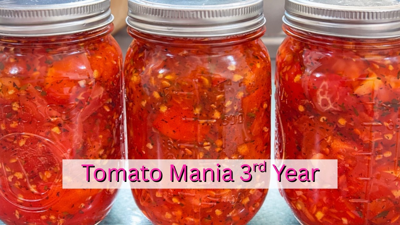 Tomato Mania 3rd Anniversary 🍅🫙|  Bruschetta & Garden Harvest🌿🧺
