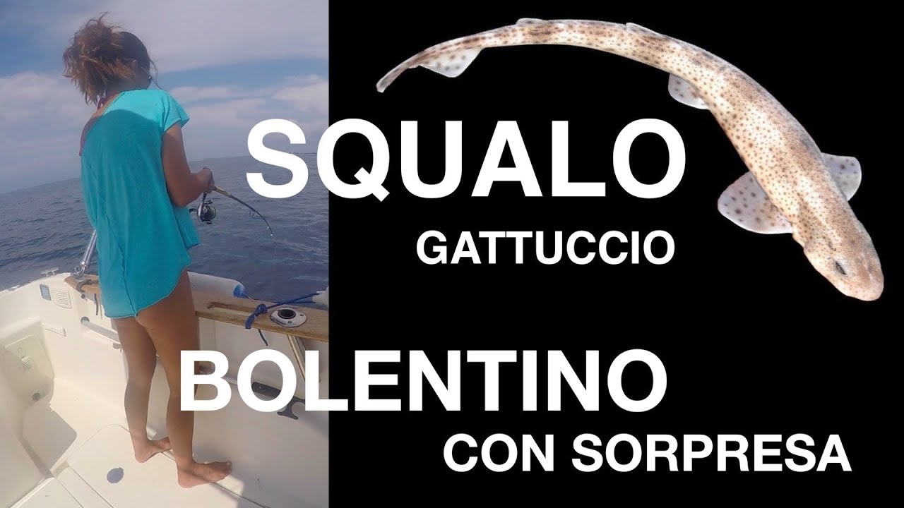 SQUALETTO A BOLENTINO🦈con la VALE come allieva