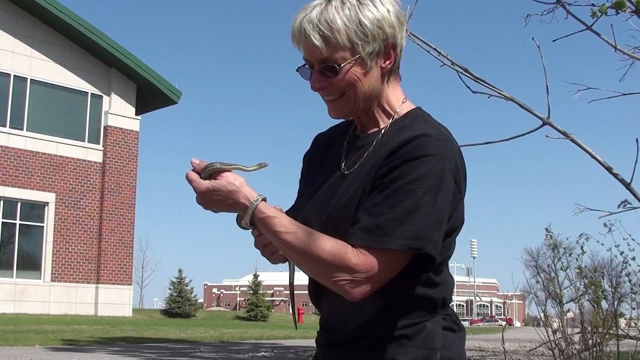 Lynn with Plains Garter Snake (Colubridae: Thamnophis radix)