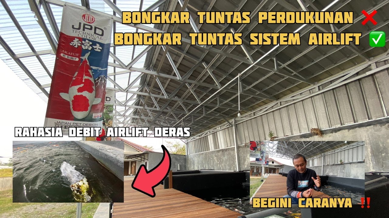 ELECTRICITY-SAVING KOI FARM WITH AIRLIFT | AIRLIFT SYSTEM PART II