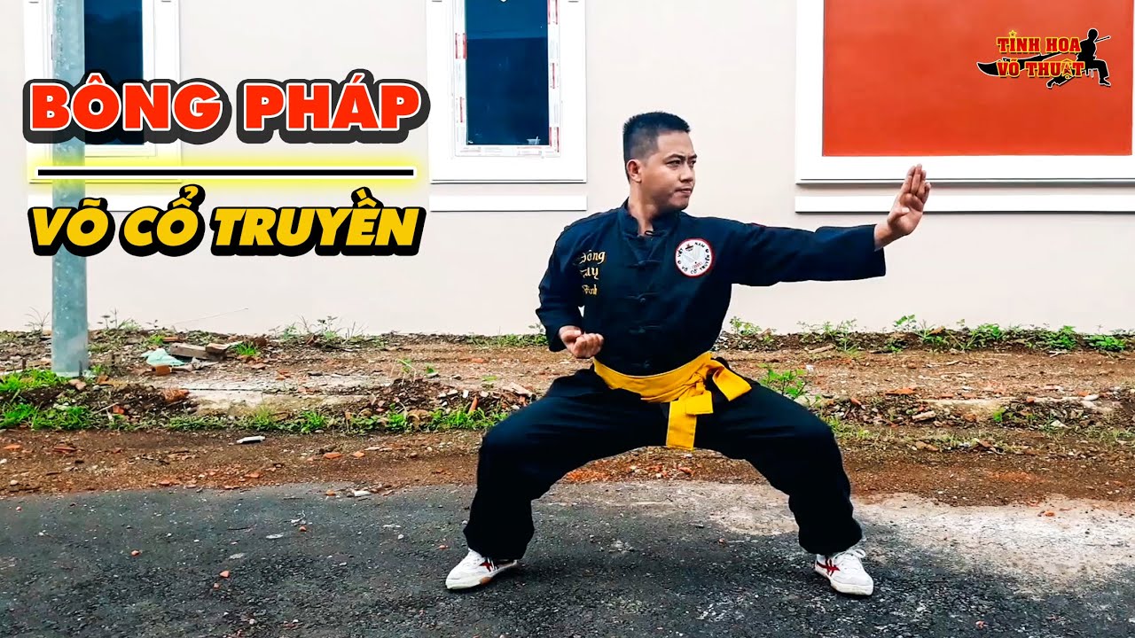 Tại sao Võ Cổ Truyền múa tay nhiều? | Vinkungfu