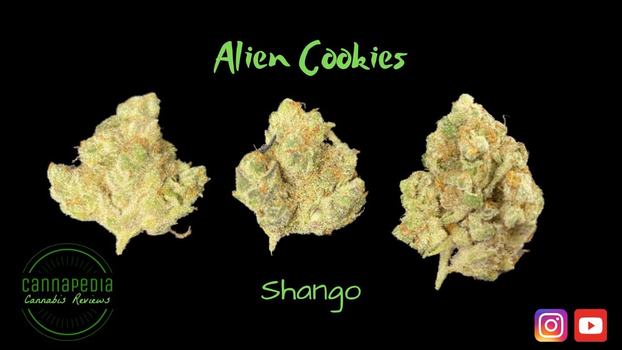 Alien Cookies Strain Review - Shango - Cannapedia