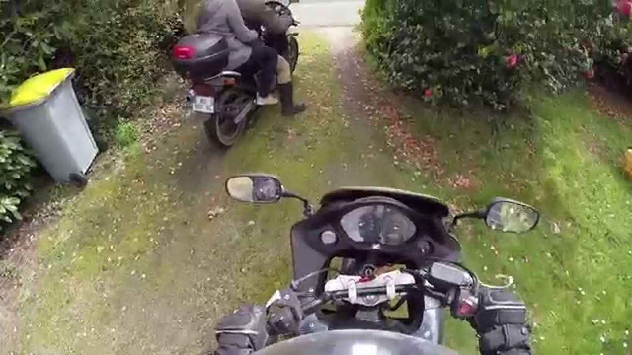 Tour en moto et tour aux 7 Iles à Perros Guirec
