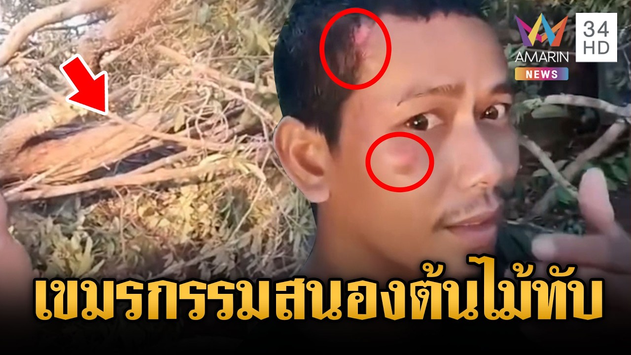 กรรมตามสนองเขมร! ต้นไม่ใหญ่หักโค่นทับทหารบาดเจ็บ | ข่าวเย็นอมรินทร์ | 10 มี.ค. 69