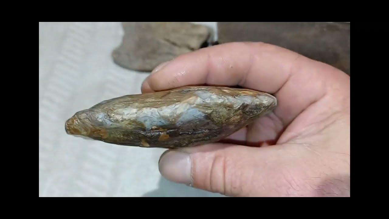 Best Beachcomb So Far This Year . Insane Museum Quality Find. Rogue Wave Hits Me !!!😳