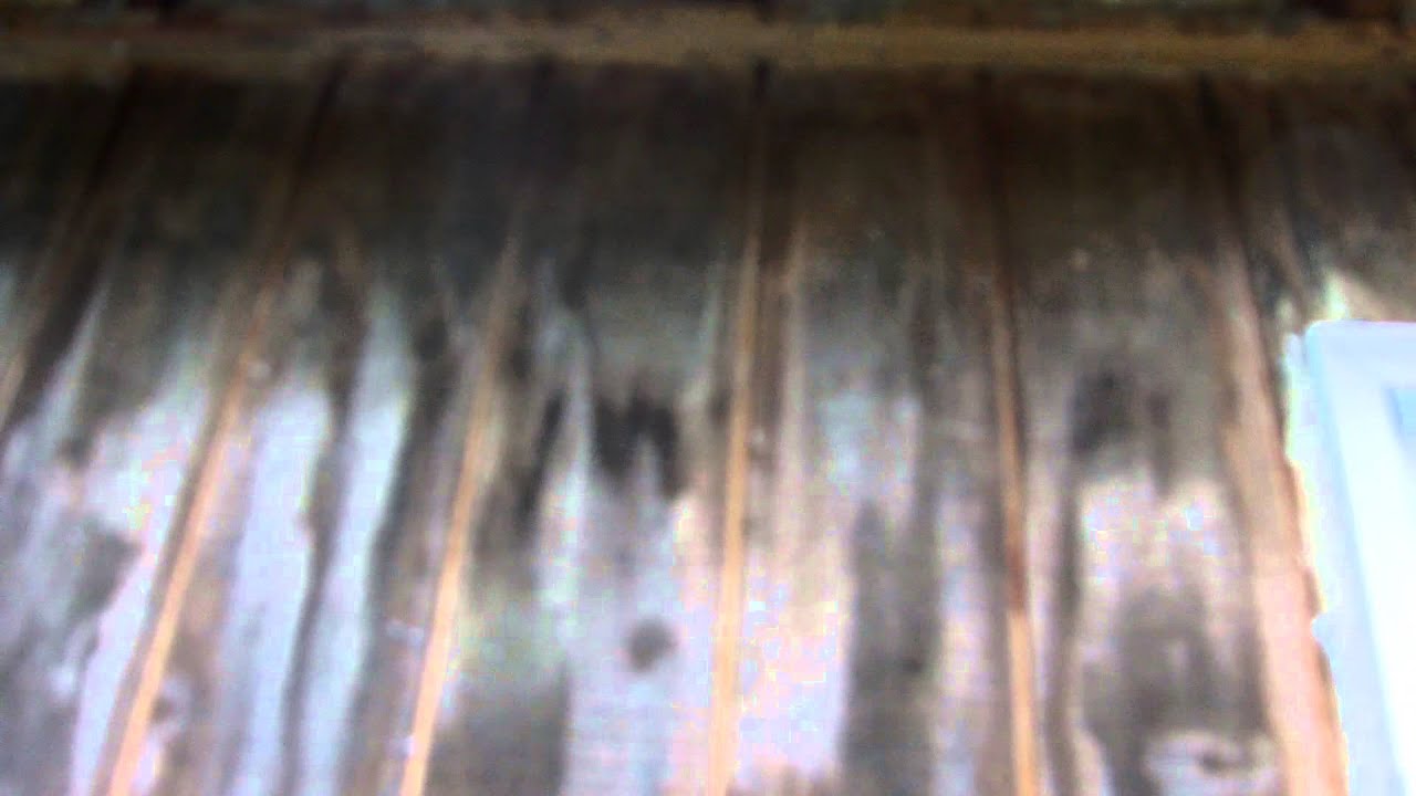 Fixing Ice dams