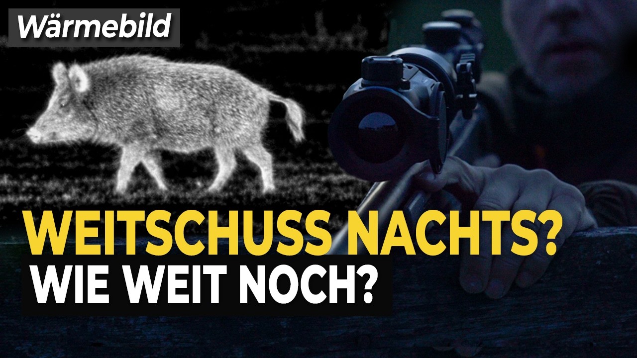 Weitschuss nachts mit W&auml;rmebild: Wie weit ist wirklich waidgerecht?