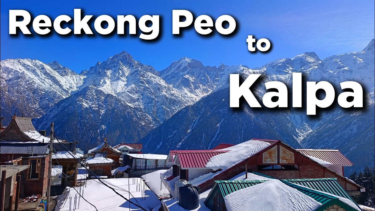 Reckong Peo to Kalpa by Road | Kalpa Travel Vlog | Kalpa kinnaur Travel | #reckongpeokalpa