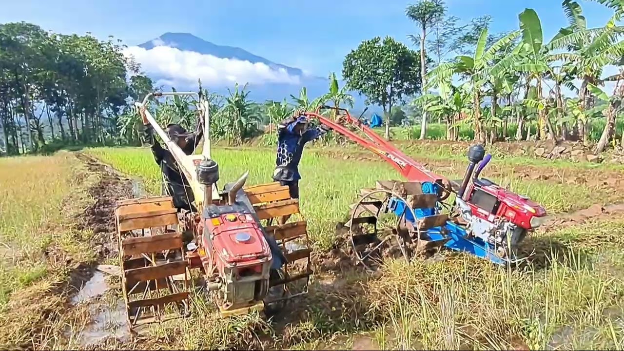 Duet traktor zeva bersama traktor boxer