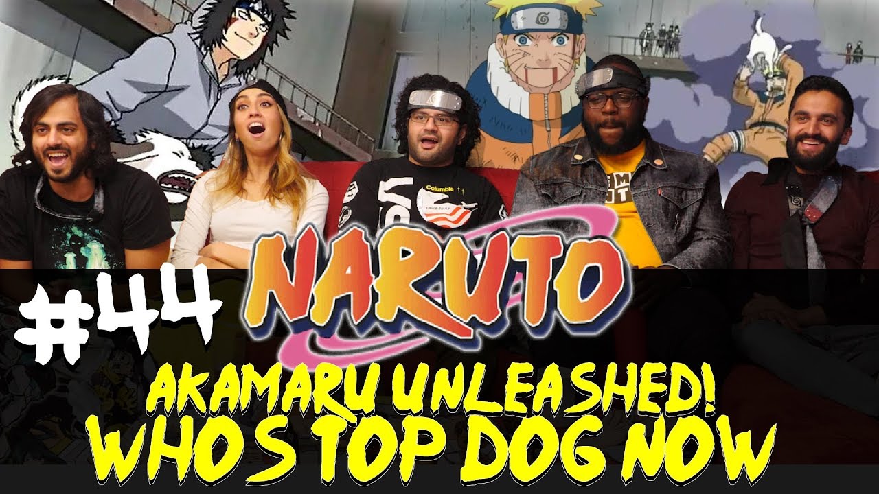 Naruto - Episode 44 Akamaru Unleashed! Whos Top Dog Now - Group Reaction