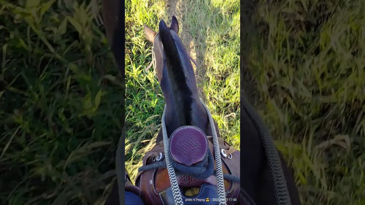 #cowboyadventure #hores 🏇🐄