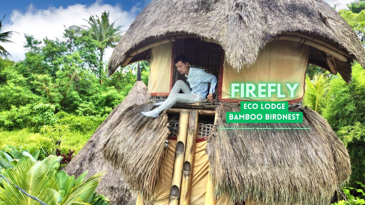 Find out how I get down from the 4th floor without stairs at Firefly Eco Lodge Bird-nest , Bali