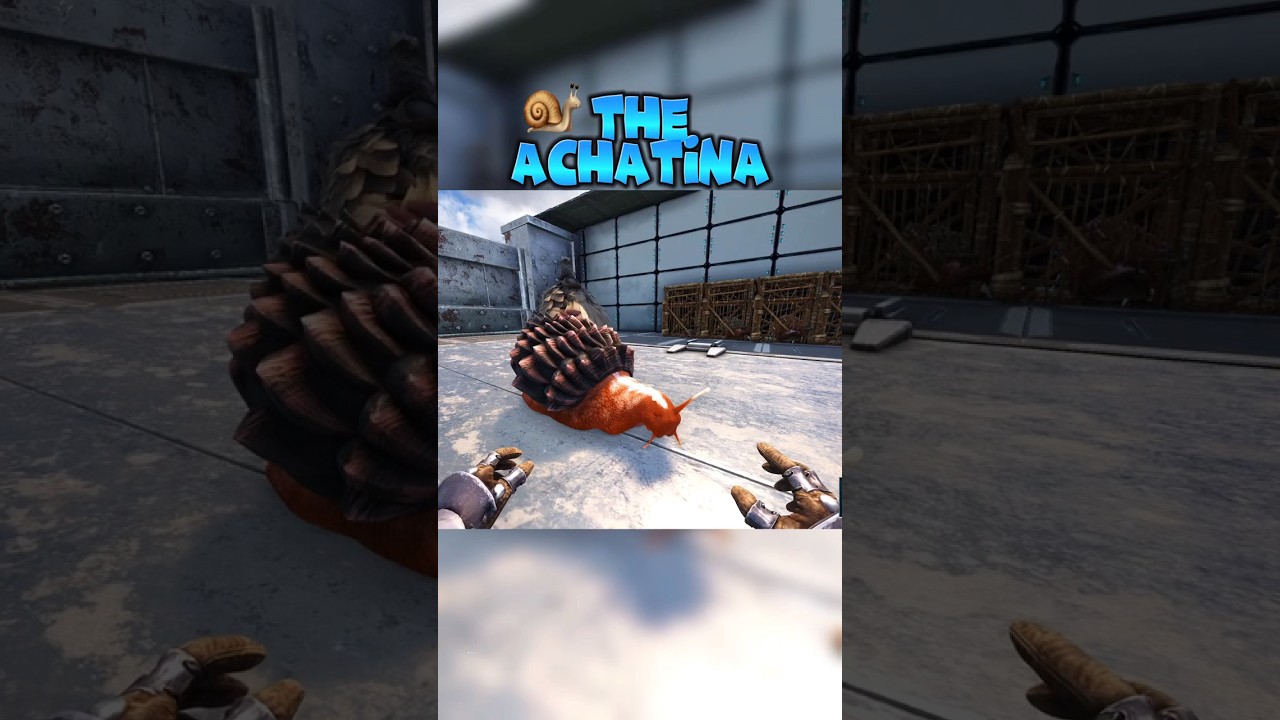История: Ахатина в Ark Survival Evolved 🐌 #arksurvival #arksurvivalevolved #ark #playark