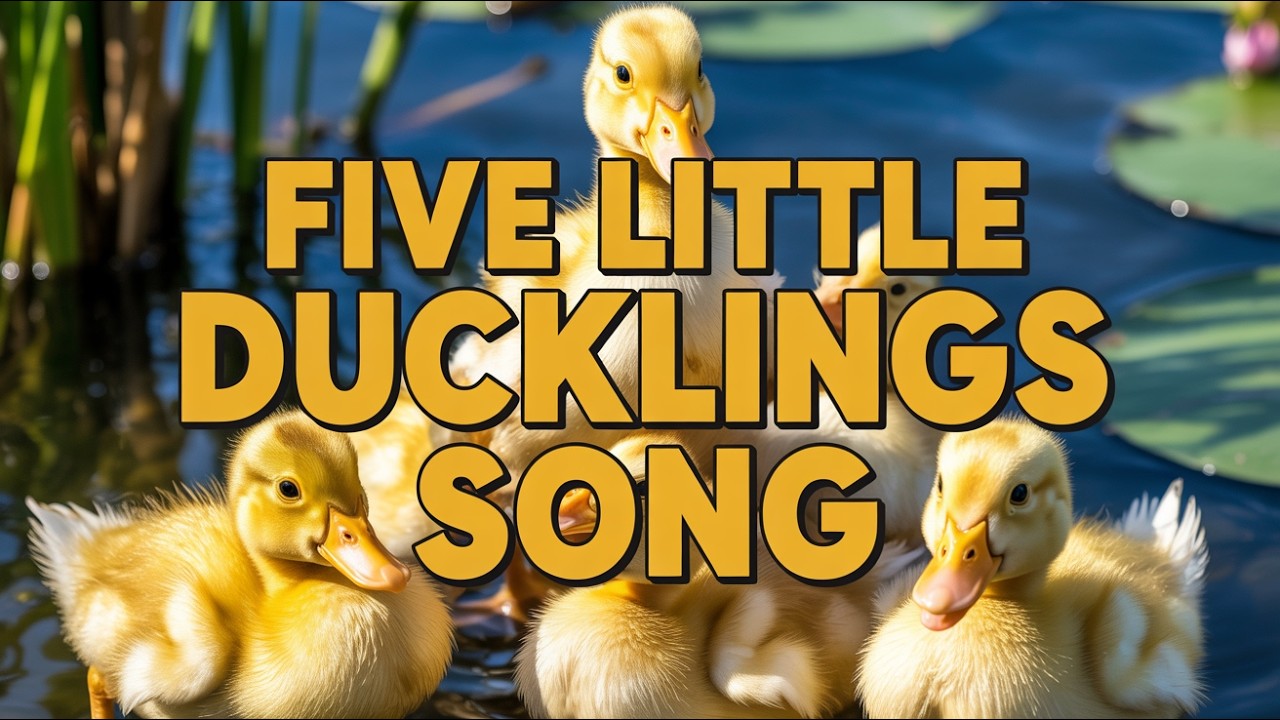 Kids Duck Song English Version Fun Nursery Rhyme Learning Animals Together