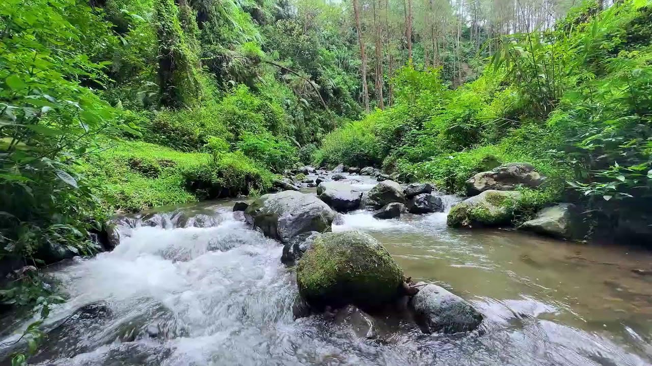 Soft river sound under tranquil twilight skies guiding calmer deeper deep sleep every quiet night