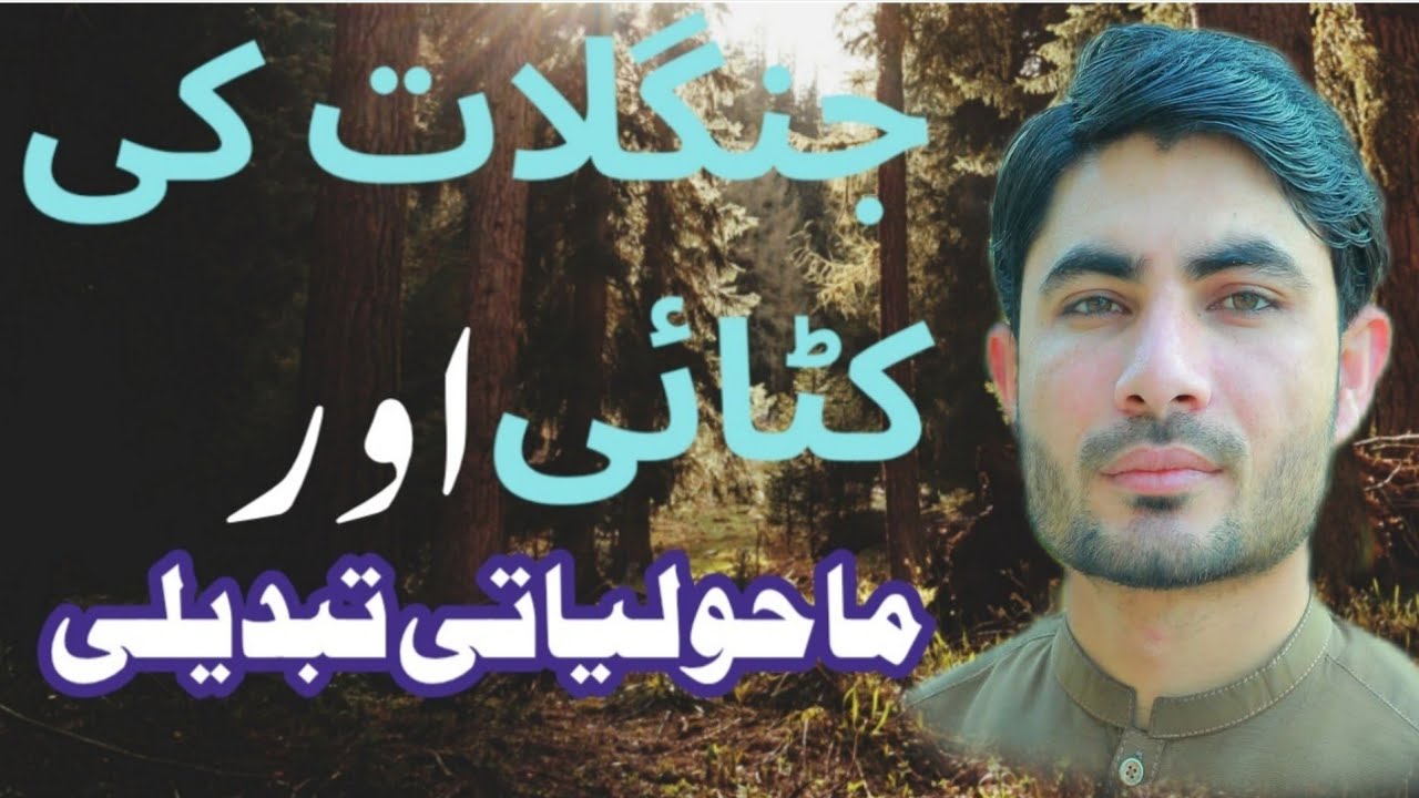 جنگلات کی کٹائی اور ماحولیاتی تبدیلی | deforestation| Abdur Rahman official 