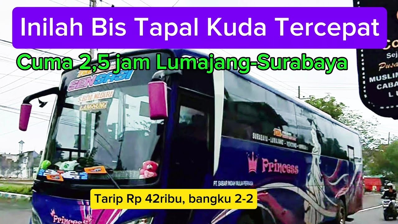 Inilah bis tapal kuda tercepat 2,5 jam Surabaya-Lumajang tarip 42k, Bis Princess start Ambulu.