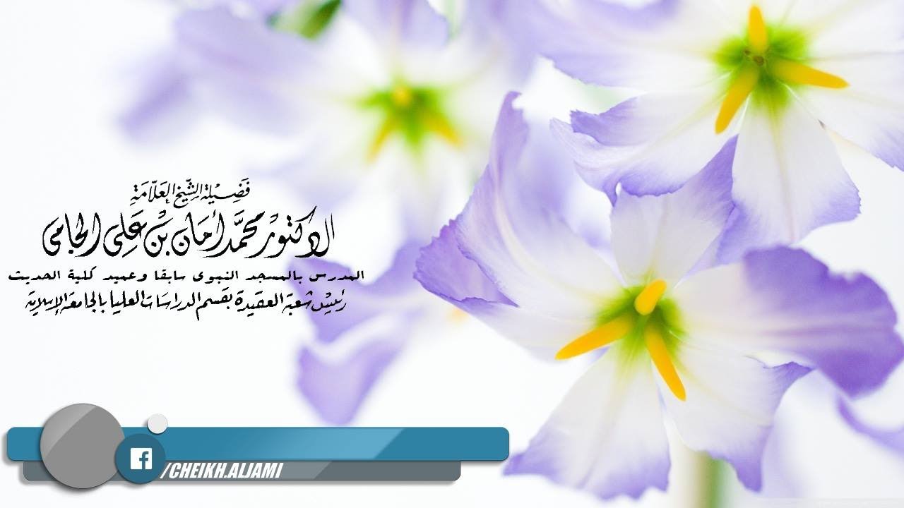 مسألة الشهادة بالنار غير مسألة تكفير معين - العلامة محمد أمان الجامي رحمه الله