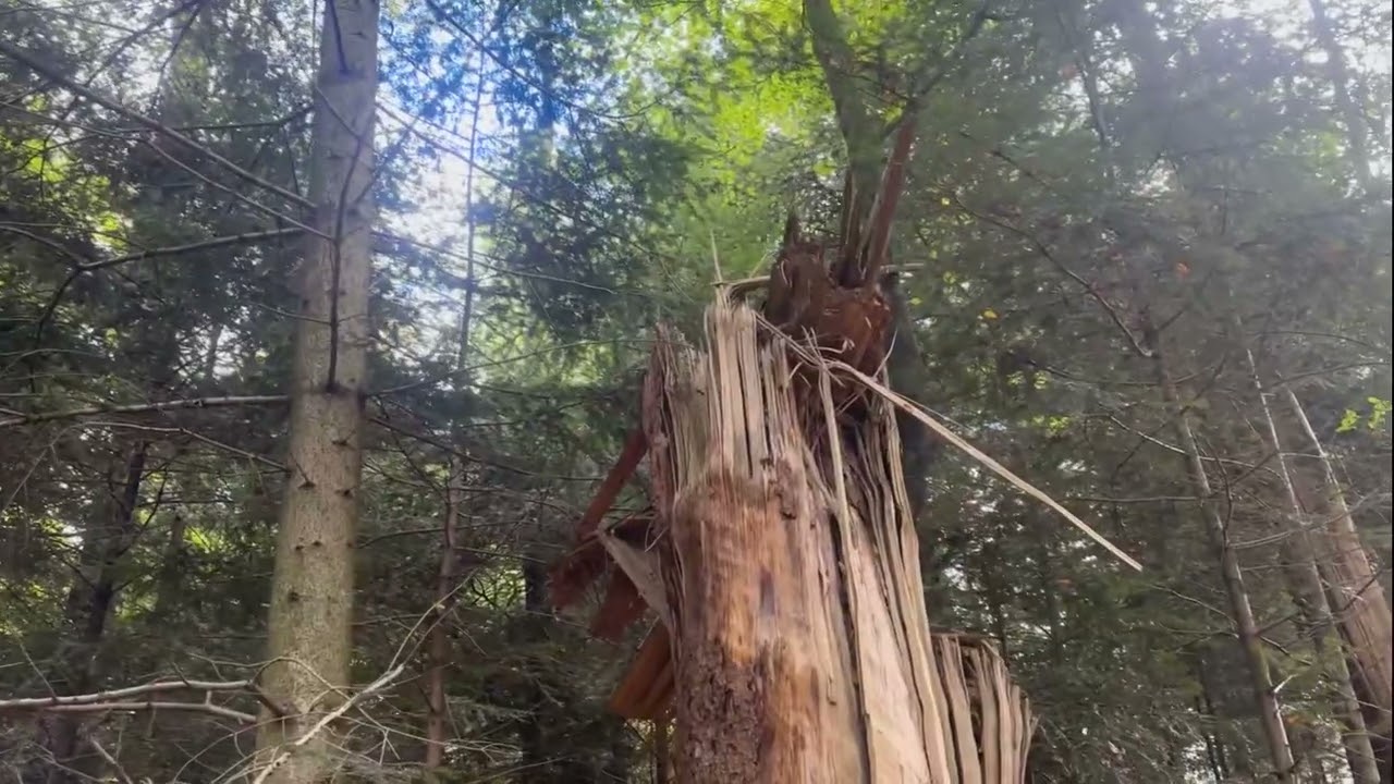 Verenaschlucht Einsiedelei St Verena Solothurn Rüttenen Schweiz 2024